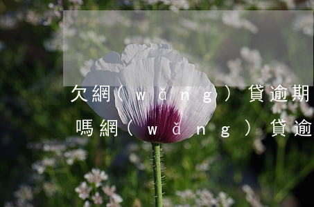 欠網(wǎng)貸逾期后來還了還有影響嗎(網(wǎng)貸逾期了還了還會影響嗎?)