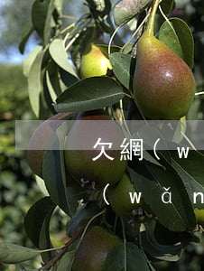 欠網(wǎng)貸逾期后可以離婚嗎(欠網(wǎng)貸能離婚嗎)