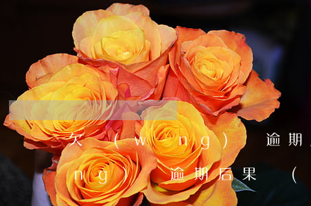 欠網(wǎng)貸逾期后果過程(網(wǎng)貸逾期后果會(huì)怎樣)
