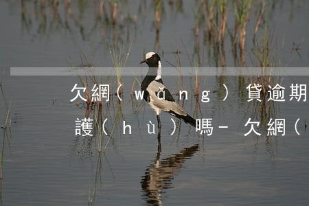 欠網(wǎng)貸逾期四年了還受法律保護(hù)嗎-欠網(wǎng)貸逾期四年了還受法律保護(hù)嗎怎么辦