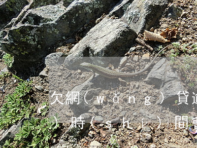 欠網(wǎng)貸逾期多長(zhǎng)時(shí)間會(huì)被起訴(欠網(wǎng)貸逾期多長(zhǎng)時(shí)間會(huì)被起訴)
