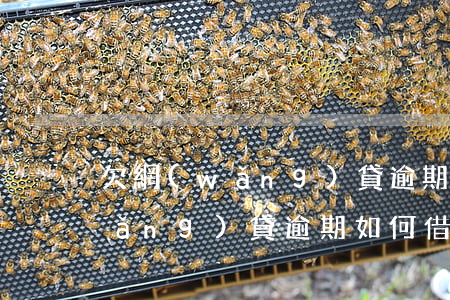 欠網(wǎng)貸逾期如何借款(欠網(wǎng)貸逾期如何借款)