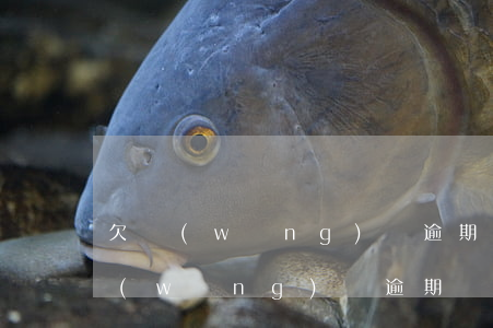 欠網(wǎng)貸逾期如何避免起訴(欠網(wǎng)貸逾期會怎樣)
