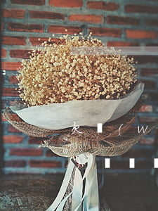 欠網(wǎng)貸逾期影響考公務(wù)員嗎(網(wǎng)貸逾期影響考公務(wù)員嘛)