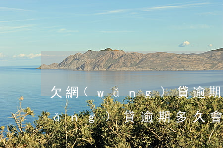 欠網(wǎng)貸逾期怎么翻身啊(網(wǎng)貸逾期多久會成為老賴)