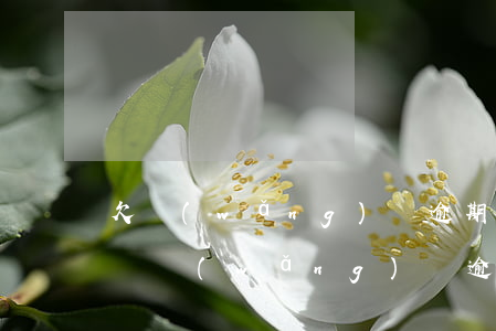 欠網(wǎng)貸逾期換新號(hào)碼(網(wǎng)貸逾期后換了新號(hào)碼)