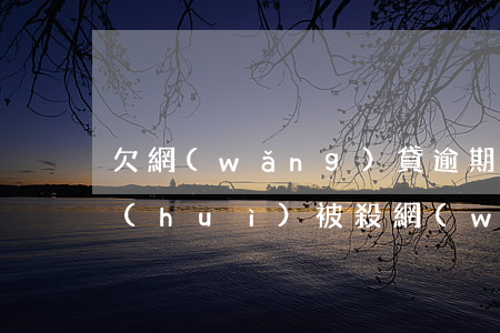 欠網(wǎng)貸逾期會(huì)不會(huì)被殺(網(wǎng)貸逾期會(huì)被判刑嗎)