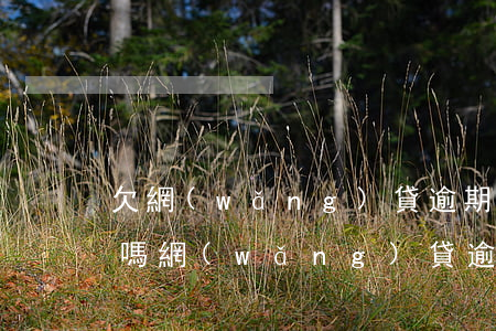 欠網(wǎng)貸逾期會(huì)立案嗎(網(wǎng)貸逾期了會(huì)不會(huì)被報(bào)警)