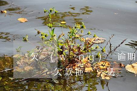 欠網(wǎng)貸逾期會(huì)被拖車嗎(欠款拖車違法嗎)