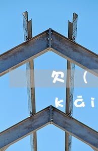 欠網(wǎng)貸逾期會(huì)開(kāi)庭嗎(各種網(wǎng)貸逾期多久會(huì)被告上法庭)
