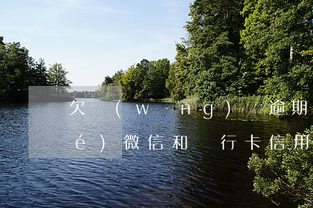 欠網(wǎng)貸逾期會不會凍結(jié)微信和銀行卡（信用卡網(wǎng)貸逾期會凍結(jié)微信嗎）
