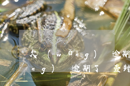 欠網(wǎng)貸逾期會封房子(網(wǎng)貸逾期了會查封房子嗎)