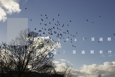 欠網(wǎng)貸逾期會影響家人嗎(網(wǎng)貸逾期有什么影響)
