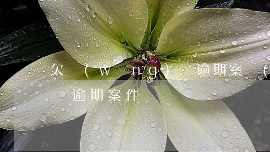 欠網(wǎng)貸逾期案(網(wǎng)貸逾期案件)