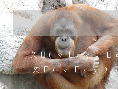 欠網(wǎng)貸逾期無(wú)力償還(欠網(wǎng)貸八萬(wàn)逾期半年無(wú)力償還怎么辦)