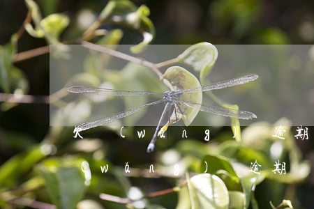欠網(wǎng)貸逾期無力償還不可怕(網(wǎng)貸逾期無法償還)