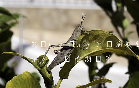 欠網(wǎng)貸逾期生不如死(網(wǎng)貸逾期還不)