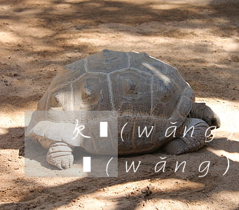 欠網(wǎng)貸逾期的人多不多(欠幾個網(wǎng)貸逾期了怎么辦)