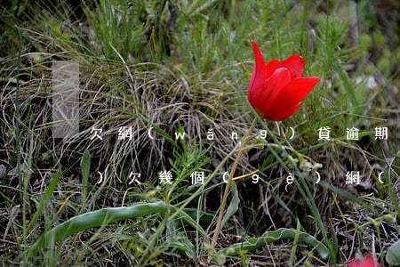 欠網(wǎng)貸逾期直接換號(hào)(欠幾個(gè)網(wǎng)貸逾期了怎么辦)