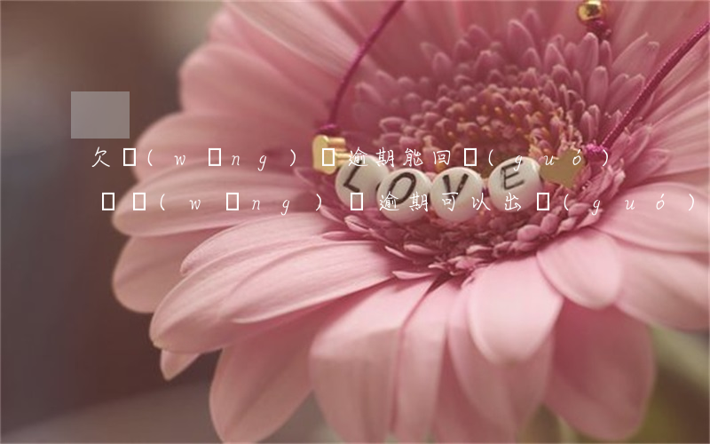 欠網(wǎng)貸逾期能回國(guó)嗎(網(wǎng)貸逾期可以出國(guó)嗎)
