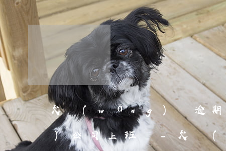 欠網(wǎng)貸逾期能在正規(guī)公司上班嗎-欠網(wǎng)貸逾期能在正規(guī)公司上班嗎知乎
