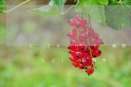 欠網(wǎng)貸逾期能坐火車嗎(網(wǎng)貸逾期坐車買票會(huì)抓嗎)