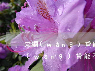 欠網(wǎng)貸逾期能貸款買房嗎(欠網(wǎng)貸能不能買房)