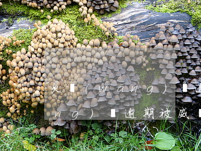 欠網(wǎng)貸逾期被威脅(欠網(wǎng)貸逾期被威脅)