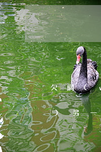 欠網(wǎng)貸逾期被起訴對(duì)另一伴有什么影響-網(wǎng)貸逾期被起訴會(huì)影響家人嗎