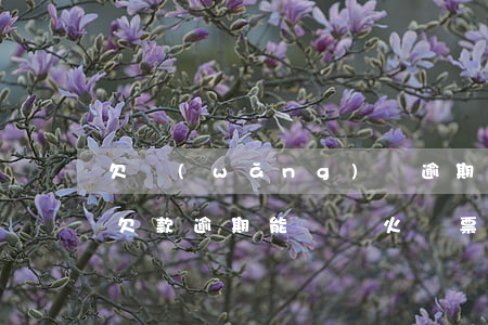 欠網(wǎng)貸逾期說不能買火車票(有欠款逾期能購買火車票嗎?)
