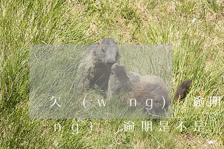欠網(wǎng)貸逾期辦信用卡(網(wǎng)貸逾期是不是辦不了信用卡)