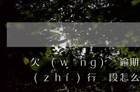 欠網(wǎng)貸逾期進(jìn)入執(zhí)行階段怎么通知-欠網(wǎng)貸逾期進(jìn)入執(zhí)行階段怎么通知家人