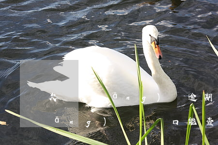 欠網(wǎng)貸逾期遷了戶口(欠網(wǎng)貸遷戶口能查到嗎)