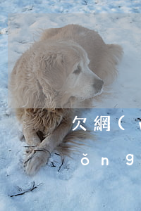 欠網(wǎng)貸逾期還上政審系統(tǒng)嗎(欠網(wǎng)貸影響政審嗎?)