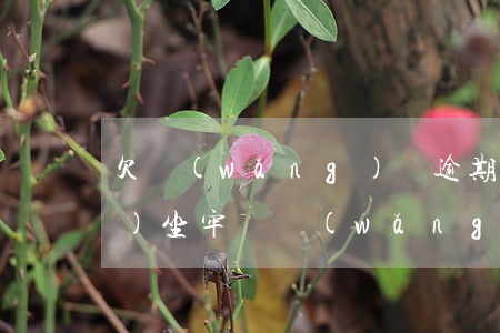 欠網(wǎng)貸逾期還不上會(huì)坐牢嗎(網(wǎng)貸逾期了還不上會(huì)坐牢嗎)
