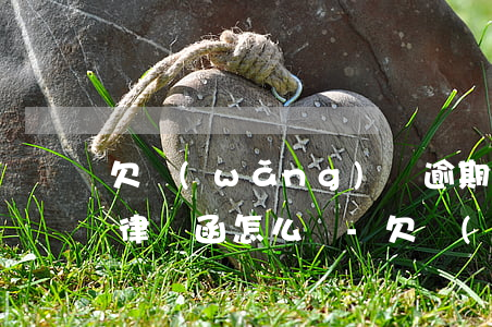 欠網(wǎng)貸逾期還不上發(fā)律師函怎么辦-欠網(wǎng)貸逾期還不上發(fā)律師函怎么辦呢