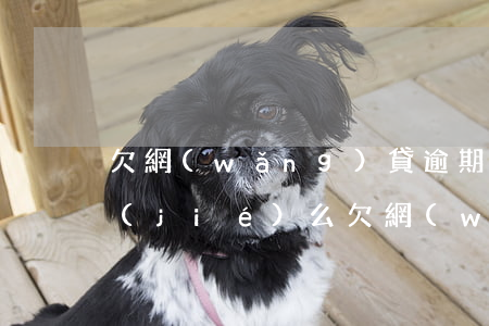 欠網(wǎng)貸逾期銀行卡掛失能凍結(jié)么(欠網(wǎng)貸有權(quán)凍結(jié)銀行卡嗎)