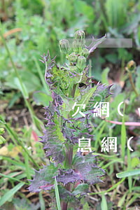 欠網(wǎng)貸逾期頻繁發(fā)信息(網(wǎng)貸逾期收到短信)