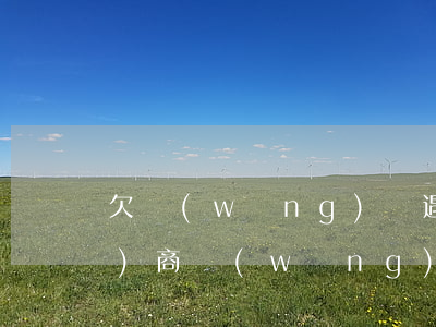 欠網(wǎng)貸遇期了怎樣協(xié)商(網(wǎng)貸逾期怎么協(xié)商)