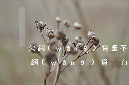 欠網(wǎng)貸還不上但是會慢慢還(欠網(wǎng)貸一直不還)