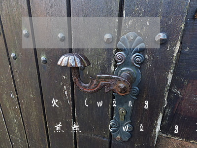 欠網(wǎng)貸還不上內(nèi)心煎熬(網(wǎng)貸實在還不起了)