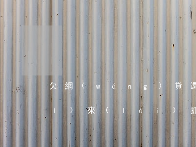 欠網(wǎng)貸還不上 公安局會(huì)來(lái)抓嗎(欠網(wǎng)貸被公安局抓了怎么辦)