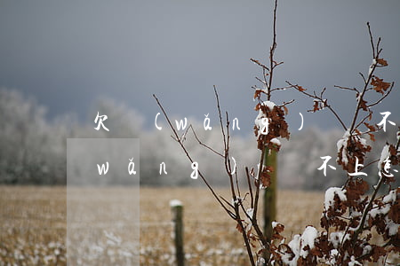 欠網(wǎng)貸還不上去了(欠下了網(wǎng)貸還不上怎么辦)