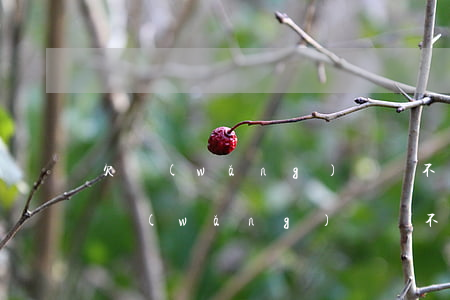 欠網(wǎng)貸還不上去自首可以嗎(欠網(wǎng)貸還不上怎么辦會有哪些后果)