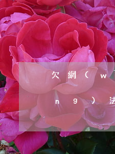 欠網(wǎng)貸還不上可以申請(qǐng)法律援助嗎-欠網(wǎng)貸還不上可以申請(qǐng)法律援助嗎知乎