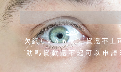 欠網(wǎng)貸還不上可以申請法律援助嗎(貸款還不起可以申請法律援助嗎)