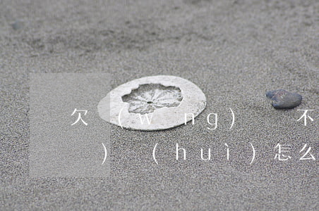 欠網(wǎng)貸還不上名下有車(chē)會(huì)怎么樣(欠網(wǎng)貸名下有車(chē)可以過(guò)戶嗎)