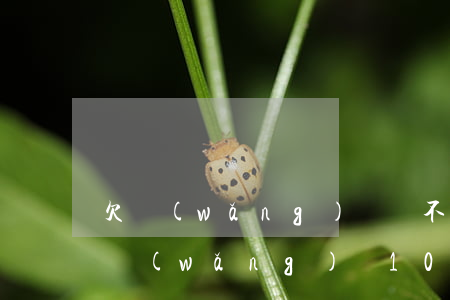 欠網(wǎng)貸還不上家里人也沒錢(欠網(wǎng)貸10幾萬家里又沒錢)
