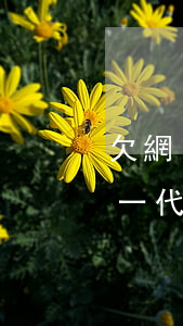 欠網(wǎng)貸還不上對(duì)下一代有影響嗎-欠網(wǎng)貸還不上對(duì)下一代有影響嗎知乎