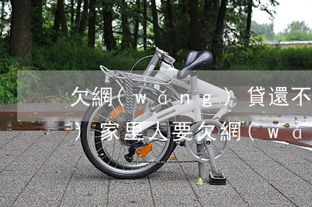 欠網(wǎng)貸還不上怎么問(wèn)家里人要(欠網(wǎng)貸家人不管怎么辦)